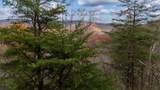 198 Hollow Log Trail - Photo 25