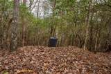 198 Hollow Log Trail - Photo 44