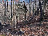 4412 Bee Tree Ridge Drive - Photo 2
