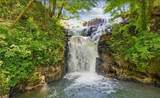 4412 Bee Tree Ridge Drive - Photo 21