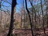 4412 Bee Tree Ridge Drive - Photo 3