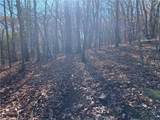 4412 Bee Tree Ridge Drive - Photo 8