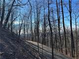 Lt1535 Moss Patch Trail - Photo 1