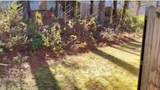 709 Pine Tree Trail - Photo 9