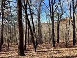 1520 Moss Patch Trail - Photo 1