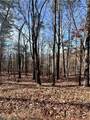 1520 Moss Patch Trail - Photo 3