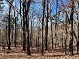 1520 Moss Patch Trail - Photo 4