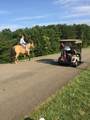 Lt1141 Oglethorpe Mountain Road - Photo 22
