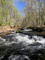 Lt1141 Oglethorpe Mountain Road - Photo 25