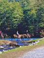 Lt1141 Oglethorpe Mountain Road - Photo 28