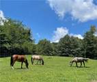 Lt1141 Oglethorpe Mountain Road - Photo 30