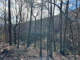 Lt1141 Oglethorpe Mountain Road - Photo 4