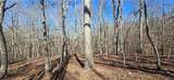 00001 Flatbottom Road - Photo 18