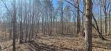 00001 Flatbottom Road - Photo 23