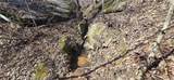 00001 Flatbottom Road - Photo 31