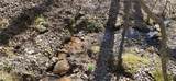 00001 Flatbottom Road - Photo 35