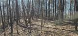 00001 Flatbottom Road - Photo 45