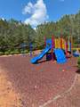 2530 Gold Creek Lane - Photo 44