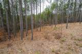 LT 112 Blalock Mountain Road - Photo 21