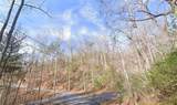 0 Brown Hawk Drive - Photo 13