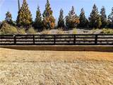 4140 Barleycove Lane - Photo 13