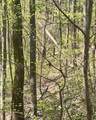 450 Wild Turkey Bluff - Photo 5