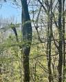 450 Wild Turkey Bluff - Photo 6