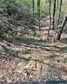 450 Wild Turkey Bluff - Photo 8