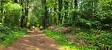 0 Lake Latimer Drive - Photo 9
