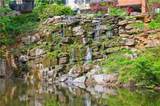 27306 Plantation Drive - Photo 42