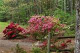 556 Auburn Road - Photo 32