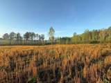 0 Spiva Road - Photo 4