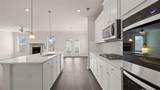 1798 Lacebark Elm Way - Photo 17