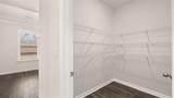 1798 Lacebark Elm Way - Photo 20