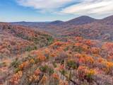 80 Mountain Mint Drive - Photo 3