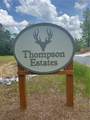 240 Thompson Trail - Photo 6