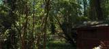 637 Ferris Street - Photo 10