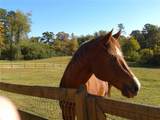 1096 Sutton Mill Road - Photo 4