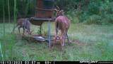 3437 Us Highway 82 - Photo 32
