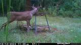3437 Us Highway 82 - Photo 33