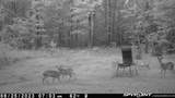 3437 Us Highway 82 - Photo 35