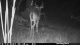 3437 Us Highway 82 - Photo 36