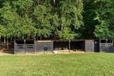 7255 Old Rico Road - Photo 56