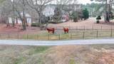 2885 Green Road - Photo 68