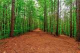 120 Twisted Pines Crossing - Photo 41