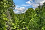 384 Mountain Highlands Court - Photo 50