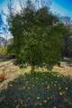 272 Old Sudie Road - Photo 45