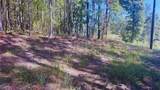 0 Williamson Road - Photo 7
