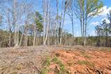 LT 103 Blalock Mountain Road - Photo 11