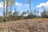 LT 103 Blalock Mountain Road - Photo 15